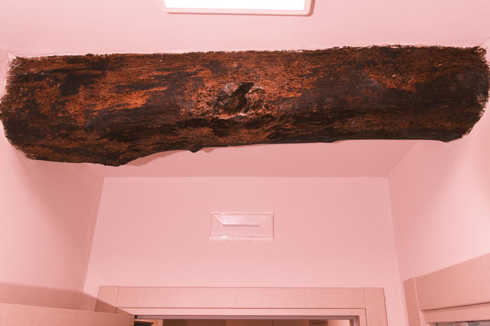 La Ponzianina Apartment Spoleto Bagian luar foto
